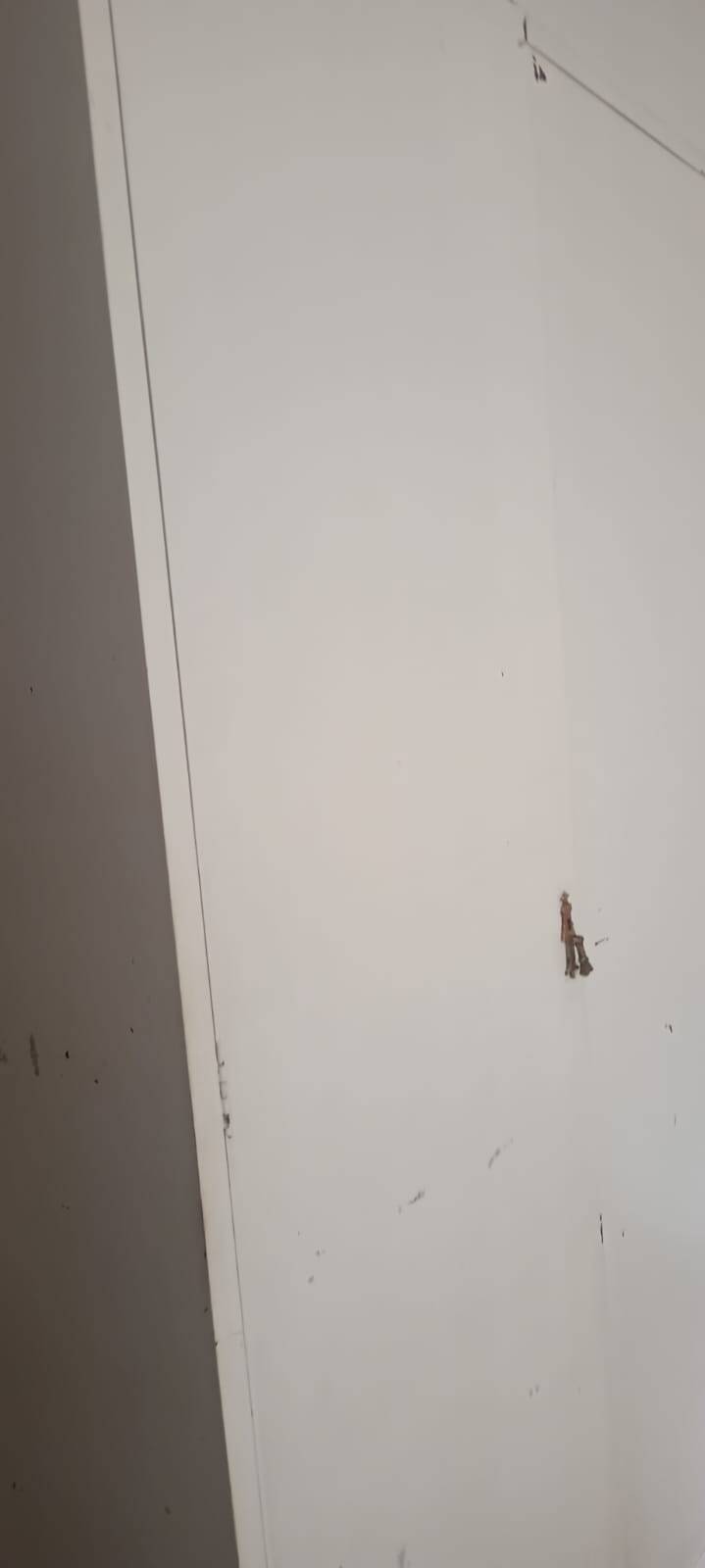 Casa, 3 quartos - Foto 15