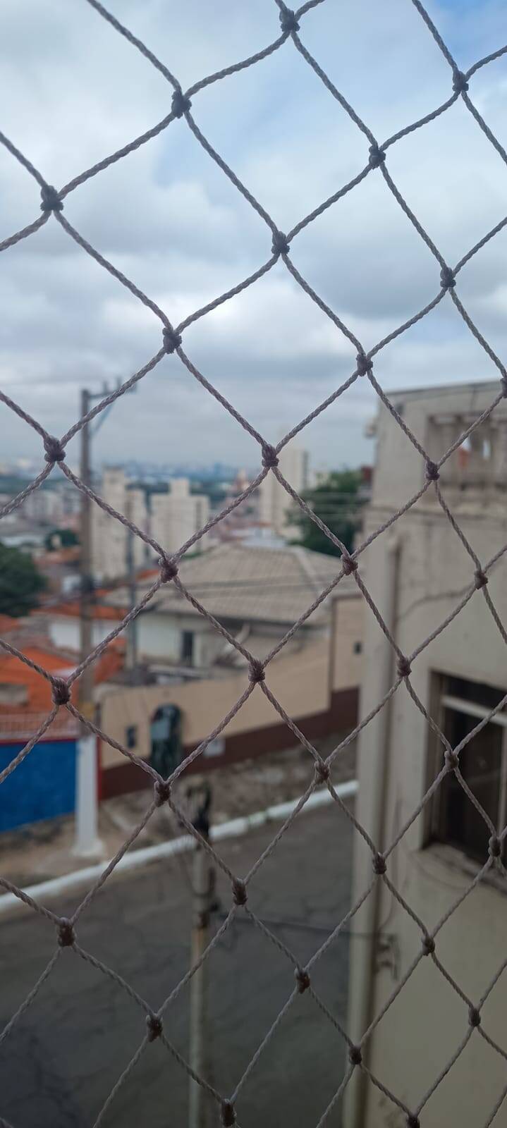 Casa, 3 quartos - Foto 21