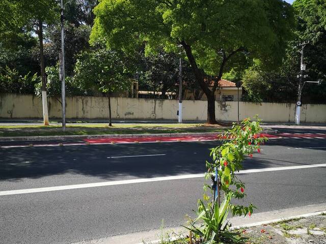 Casa para Locação em São Paulo - 5